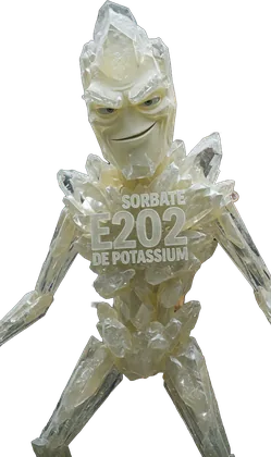Portrait de l'additif E202