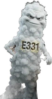 Portrait de l'additif E331