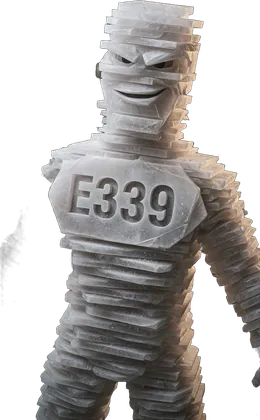 Portrait de l'additif E339