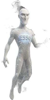 Portrait de l'additif E556