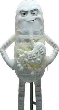 Portrait de l'additif E575