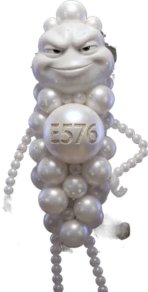 Portrait de l'additif E576
